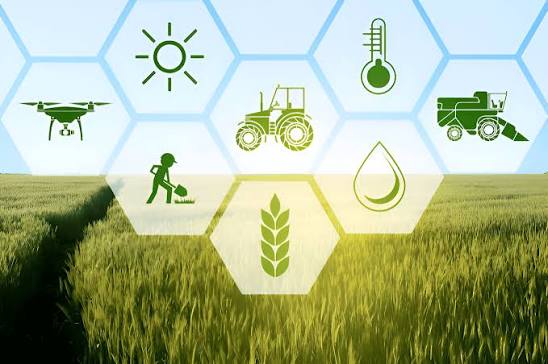 Climate-Smart Agriculture: Building Resilience Against Unpredictable Weather