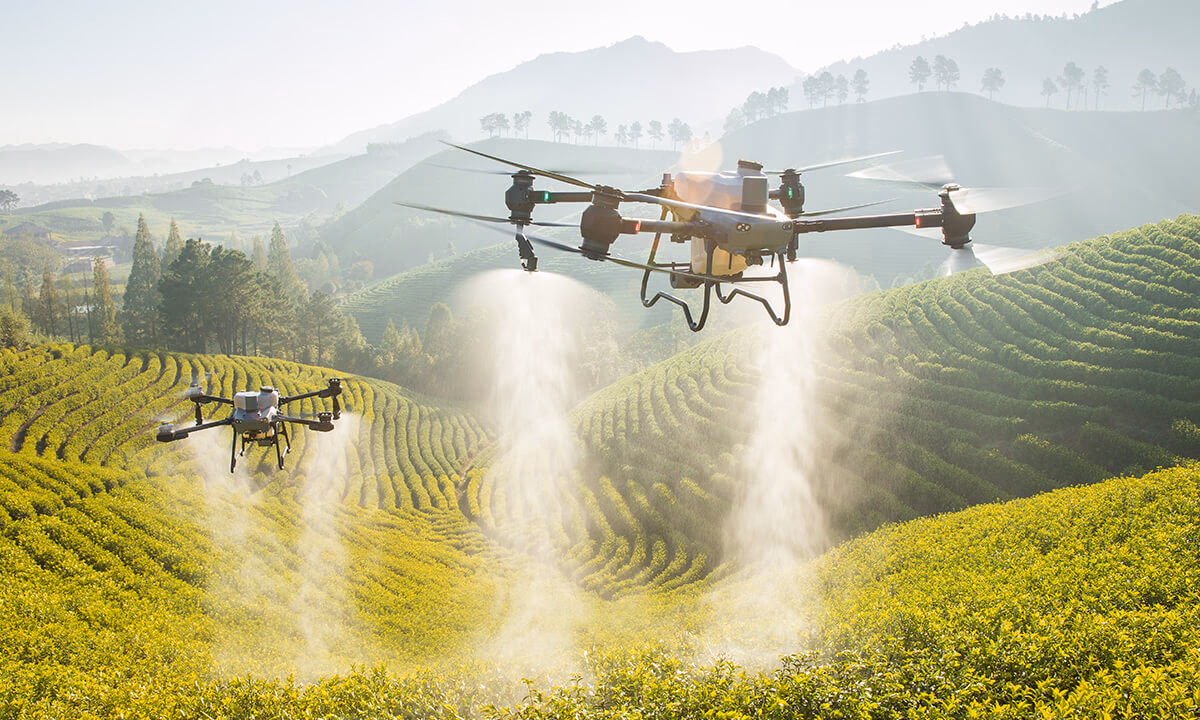 The Economics of Drone Spraying: Is It Worth It for Small Farmers?