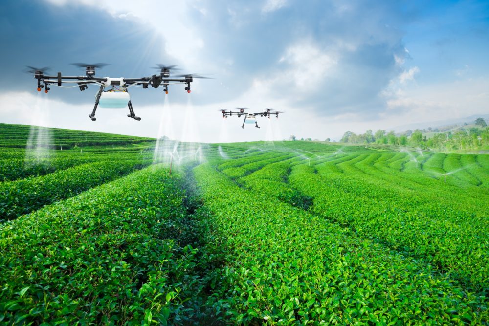 Precision Agriculture: How Data Is Redefining Modern Farming