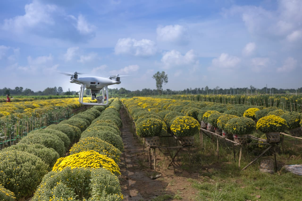 Drone Technology in Agriculture: Transforming Farming for a Smarter Future