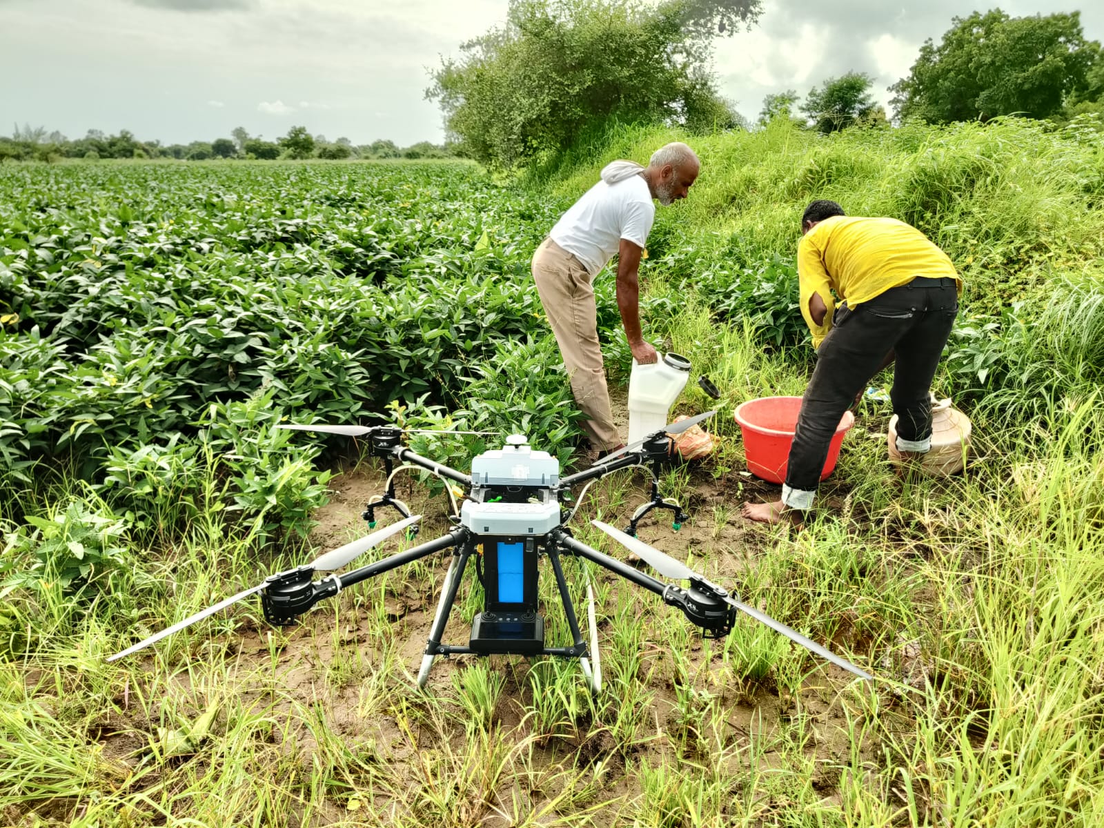 Celebrating Milestones Together